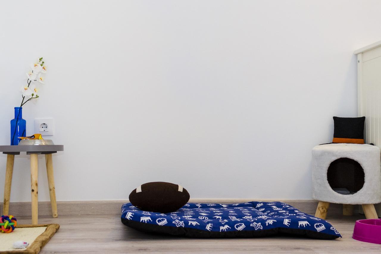 Apartup Viveros Pets Valencie Exteriér fotografie